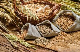 Analiză | Evoluția prețurilor de achiziție pentru cereale și oleaginoase