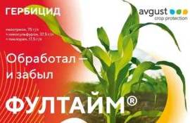 Фултайм® – системный гербицид против спектра сорняков на кукурузе - agroexpert.md