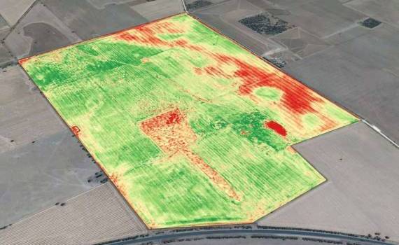 Новые критерии оценки урожайности по спутниковым снимкам - agroexpert.md