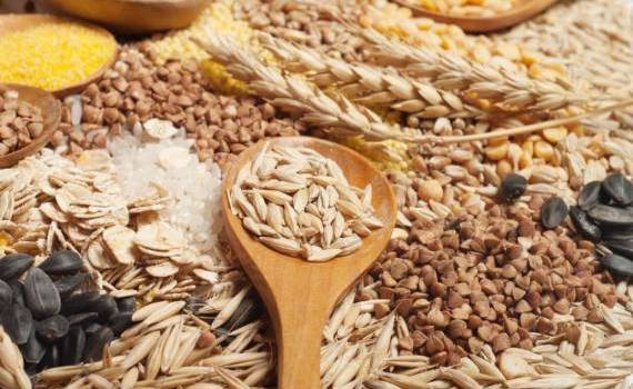 Prețurile cerealelor - agroexpert.md